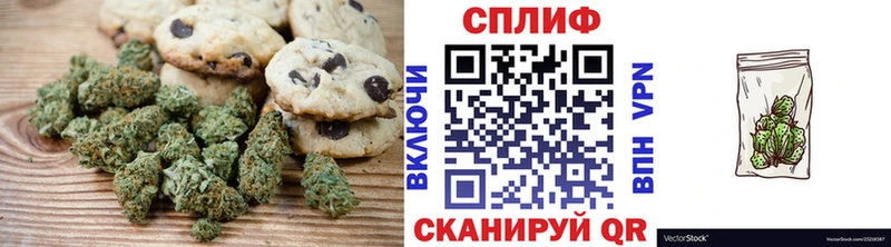 omg маркетплейс  где купить наркоту  Жиздра  Canna-Cookies конопля 