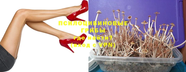 спиды Навашино