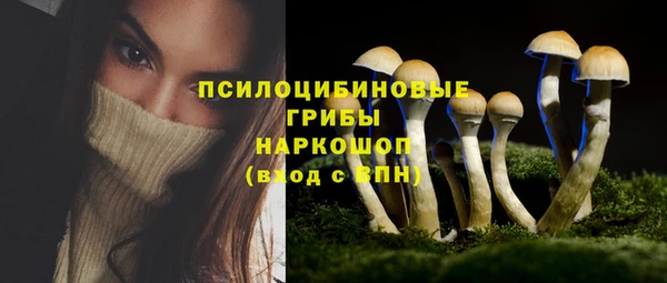 ECSTASY Надым